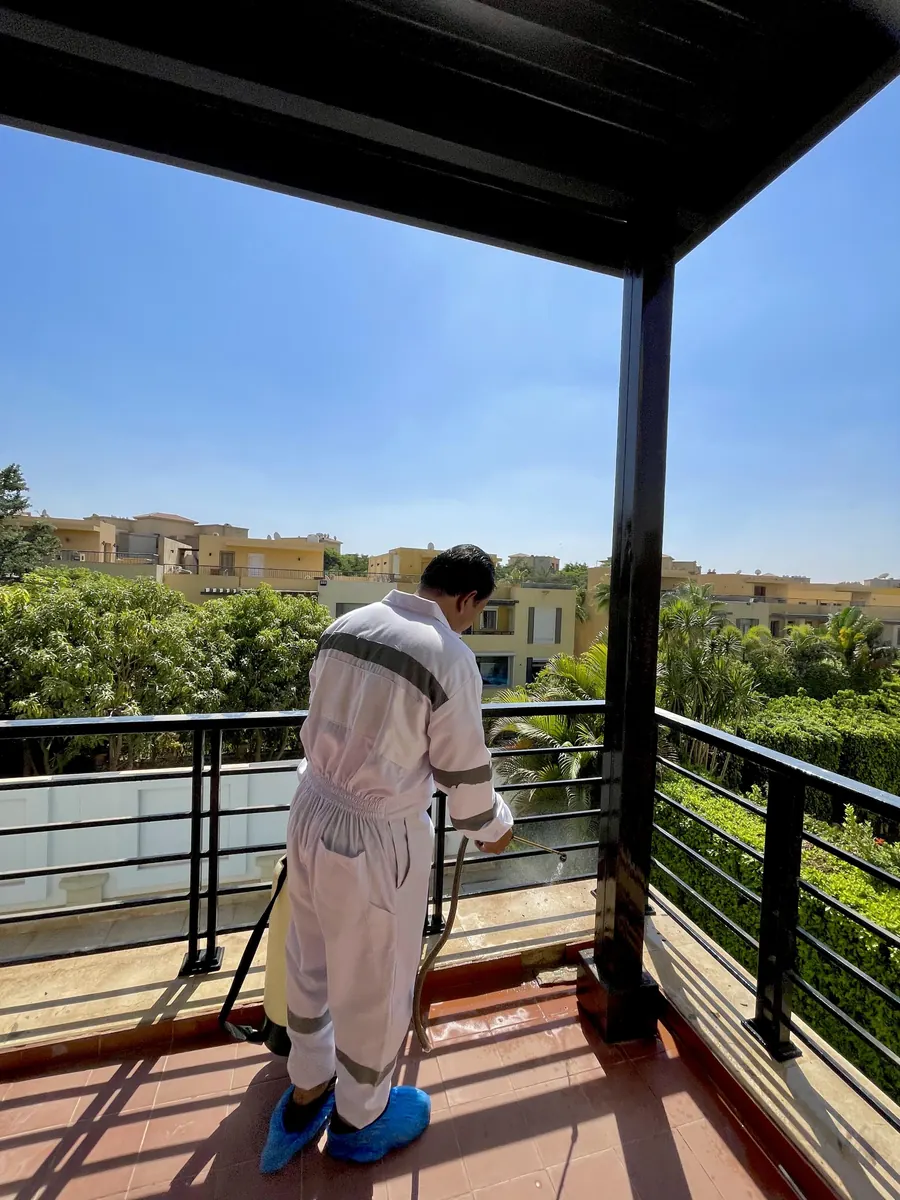 فريق الشركة الألمانية أثناء عملية الرش الاحترافية